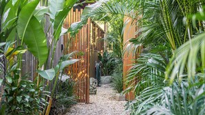 A narrow pathway flanked by tall bamboo plants and a wooden fence, leading to a stone statue.