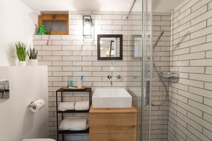 Chuveiro, secador de cabelo, toalhas de banho, papel higiênico
