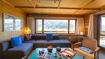 Fernseher, DVD-Player