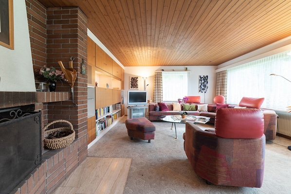 TV, fireplace