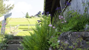 A stone staircase leading up to a wooden door with a metal railing, surrounded by greenery and flowers.