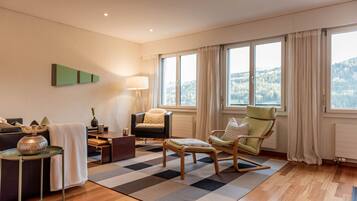 Een televisie, een open haard en een dvd-speler