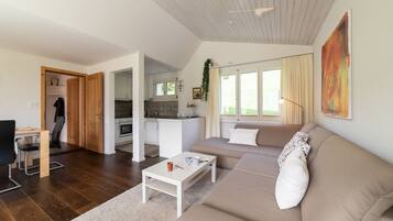 Fernseher, Stereoanlage