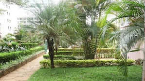 Ein gepflegter Garten mit einem Kiesweg, verschiedenen Sträuchern und Palmen.