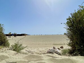 A sandy beach with a clear sky, a few people in the distance, and some vegetation in the foreground.