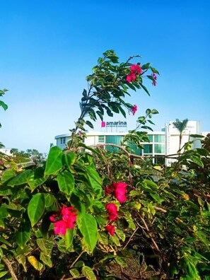 Land view from property