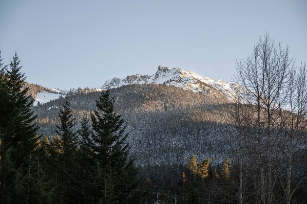 Dusj, hårføner og håndklær