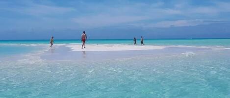 Playa en los alrededores