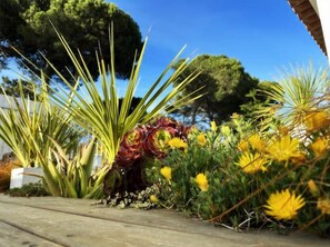 Property grounds - A Piscina da Lagoa - Meco Sesimbra (Lagoa de albufeira)