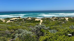 A coastal landscape with a clear view of the ocean, sandy dunes, and dense green vegetation. - MAGNIFICENT MAX | SUPERB HOLIDAY LUXURY | ST ANDREWS BEACH | OCEANSIDE | GOLF (St Andrews Beach)