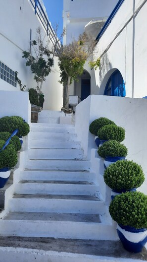 Áreas de la propiedad