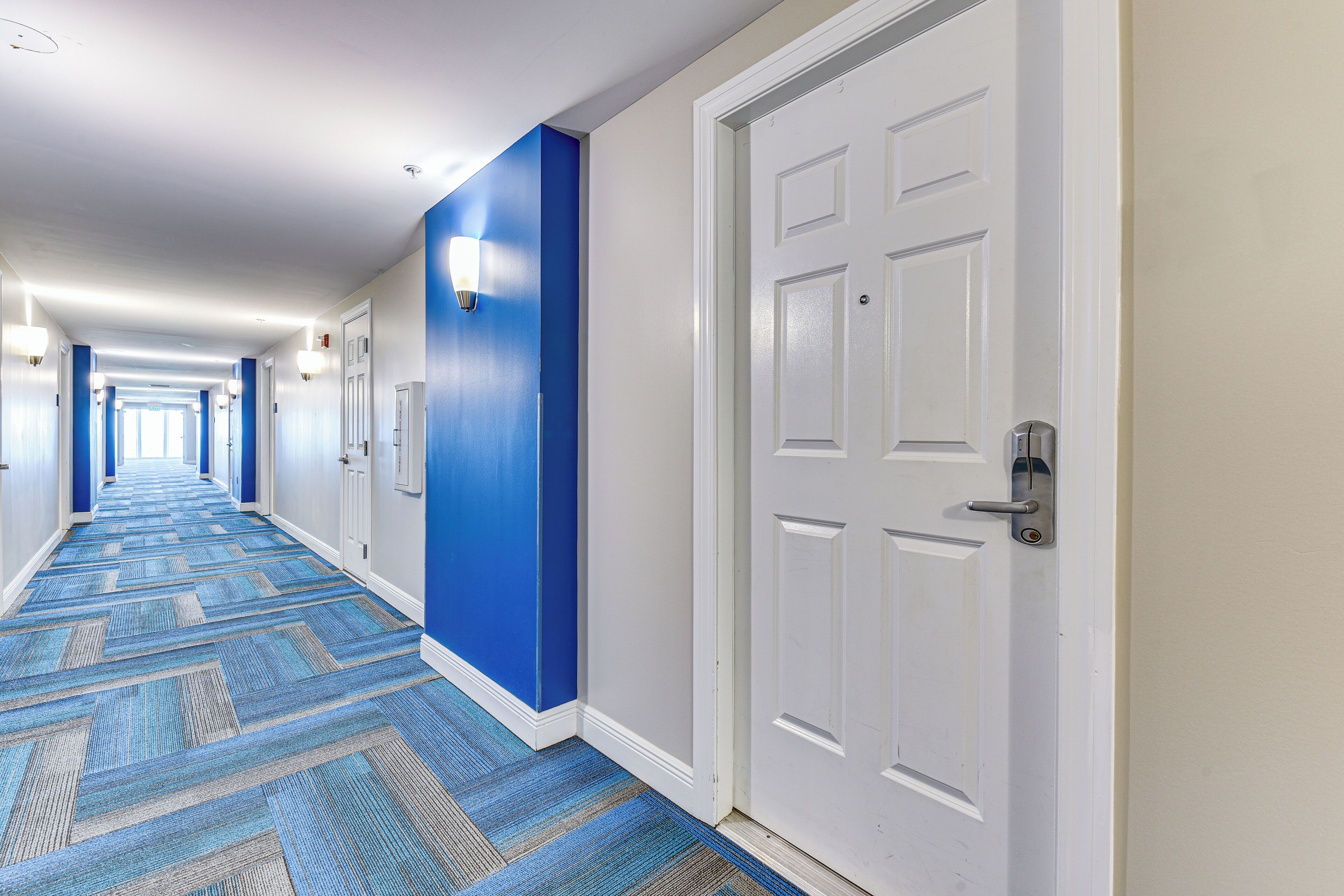 A hotel corridor with blue carpet, white doors, and a blue accent wall.