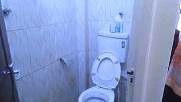 Shower, towels, soap, toilet paper