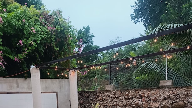 Jardin
