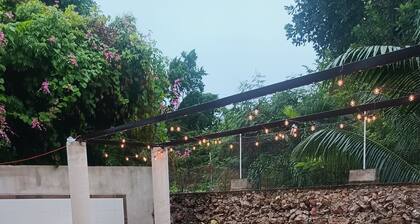 Hotel and Hostel 230