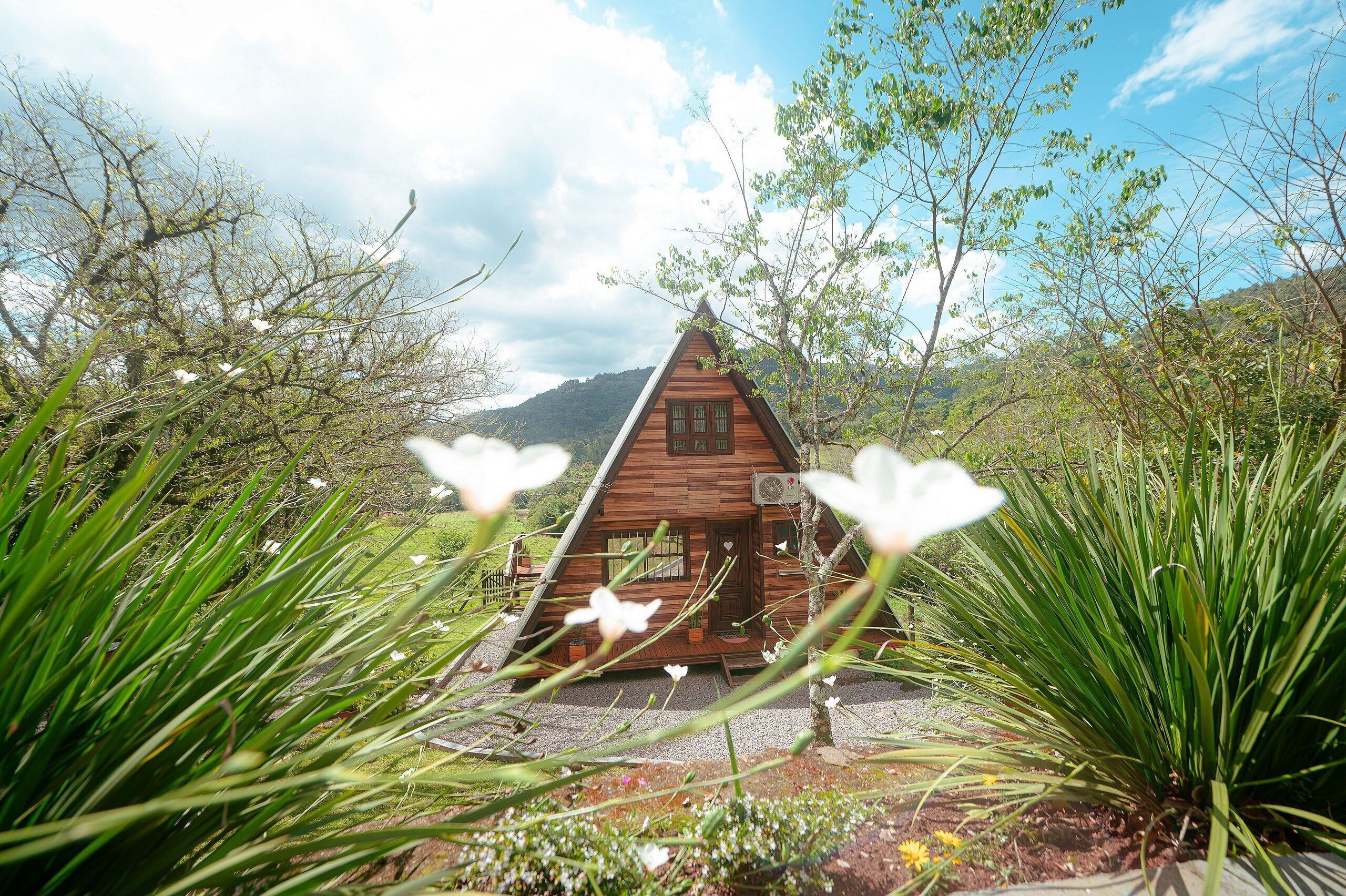 Basic Cabin | Exterior