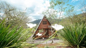 Basic Cabin | Exterior