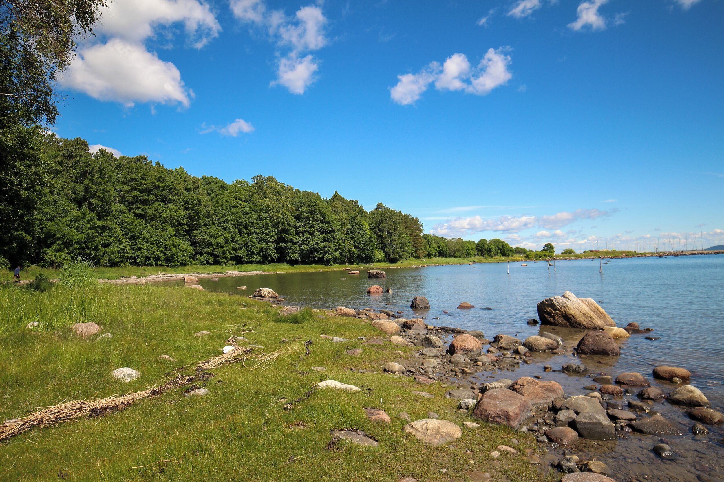 Een natuurlandschap met een rivier, grasoevers en een beboste heuvel.