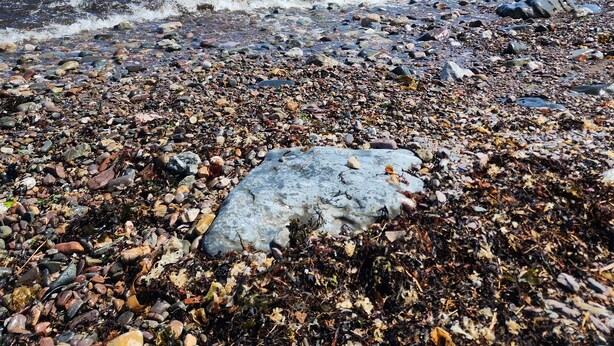 A rocky shoreline with a clear view of the water and distant land.