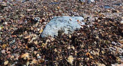 Grande Maison de vacance
En plein cĆur de la GaspĂ©sie.