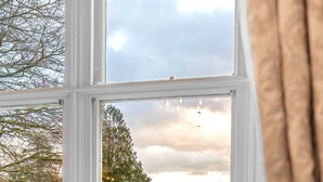 Vista desde una ventana de marco blanco que da a un área con césped, una valla blanca y árboles.