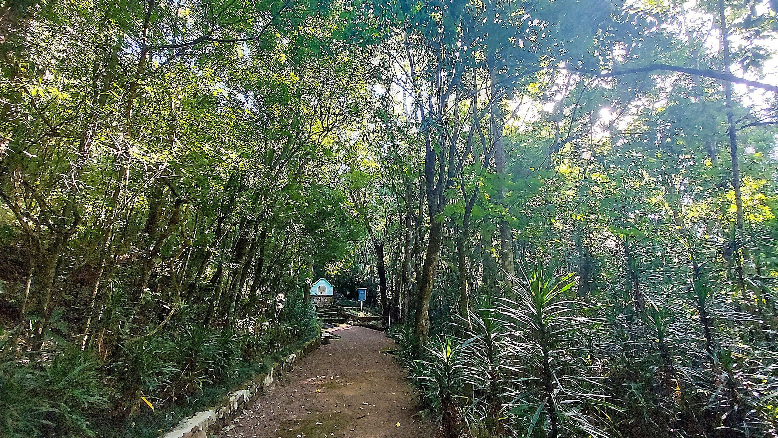 Basic-Ferienhütte | Unterkunftsgelände