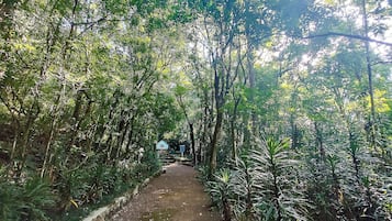 Basic Cabin | Property grounds