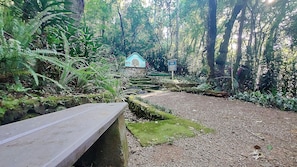 Basic Cabin | Property grounds