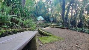 Basic Cabin | Property grounds