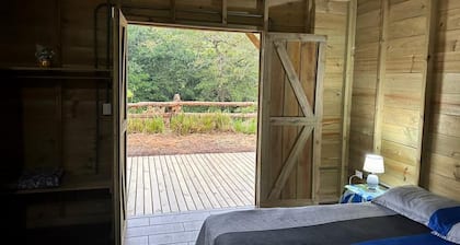 Acogedoras cabañas de madera Oso Perezoso, listas para su descanso en el campo.