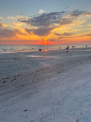 Sun loungers - A GREAT PLACE TO RELAX! (Indian Shores)
