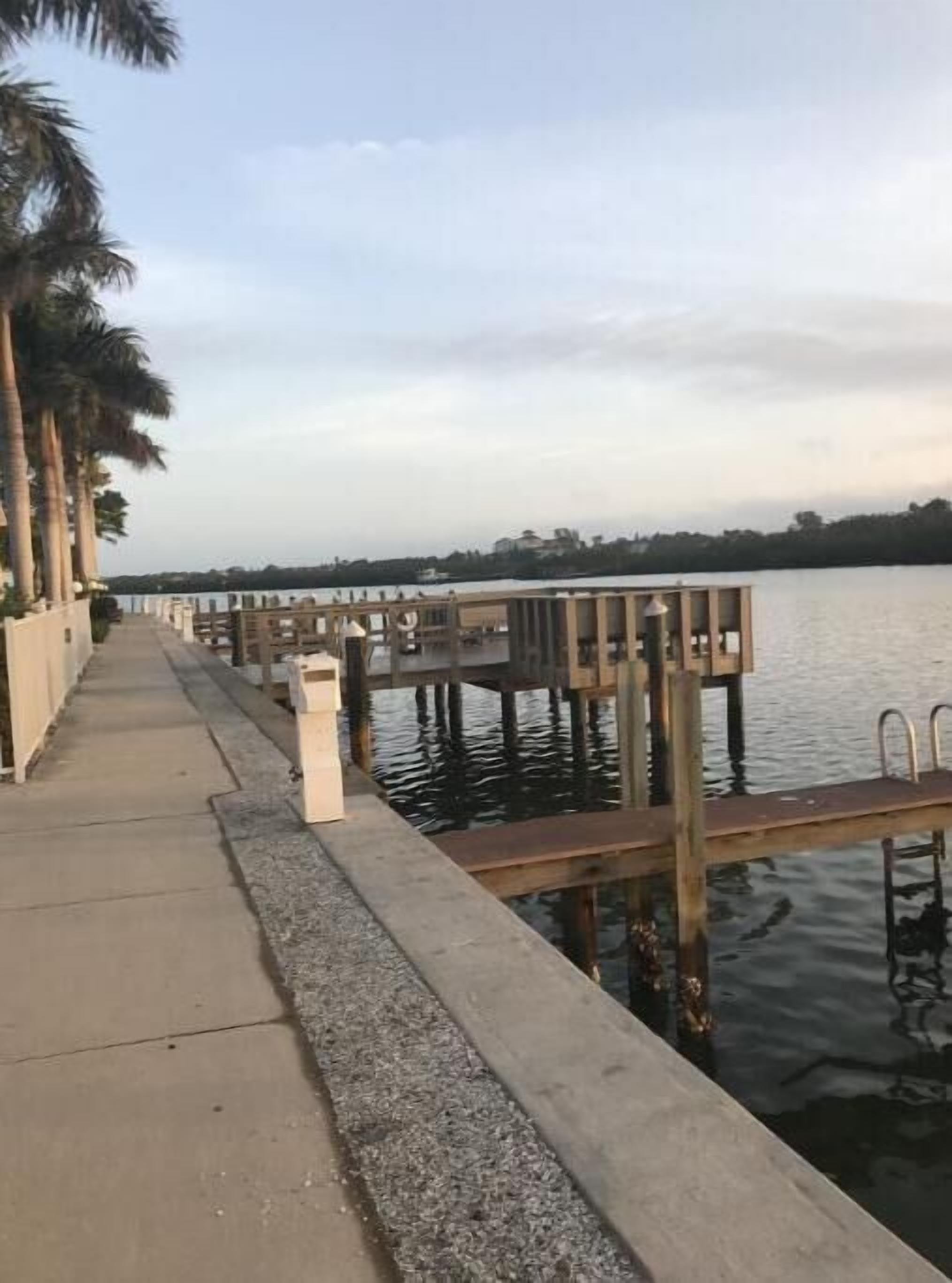 A waterfront walkway with a concrete path, wooden railings, and palm trees.
