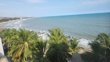 A coastal view with palm trees and a beach.