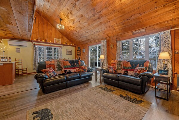 Smart TV, fireplace, video games, books