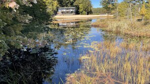 A house with a dock extending into a calm lake surrounded by dense trees and reeds.