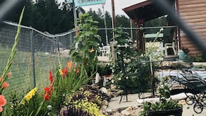 Un jardin agrémenté de diverses plantes et de rochers, une clôture en métal et du mobilier d’extérieur.