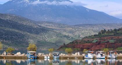 Villa Elli 1: Seaside villa with garden