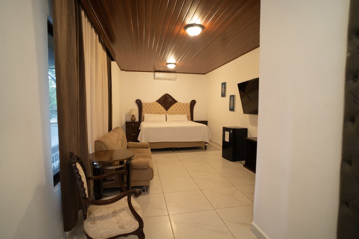 A bedroom with a bed, a sofa, a TV, and a desk.