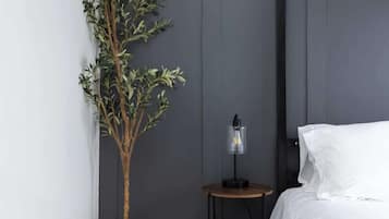 2 slaapkamers, een bureau, een strijkplank/strijkijzer, reisbedje