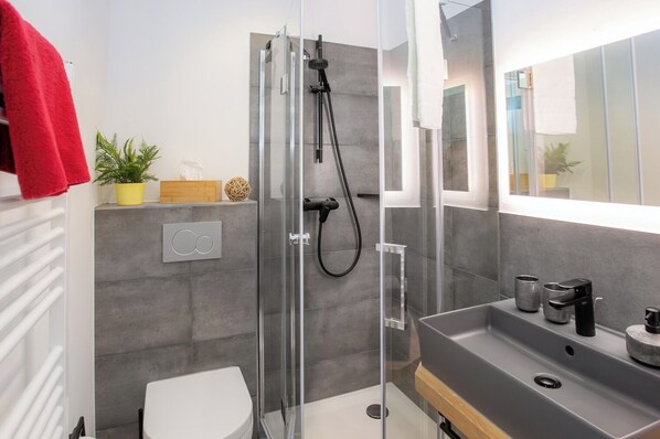 Shower, hair dryer, towels