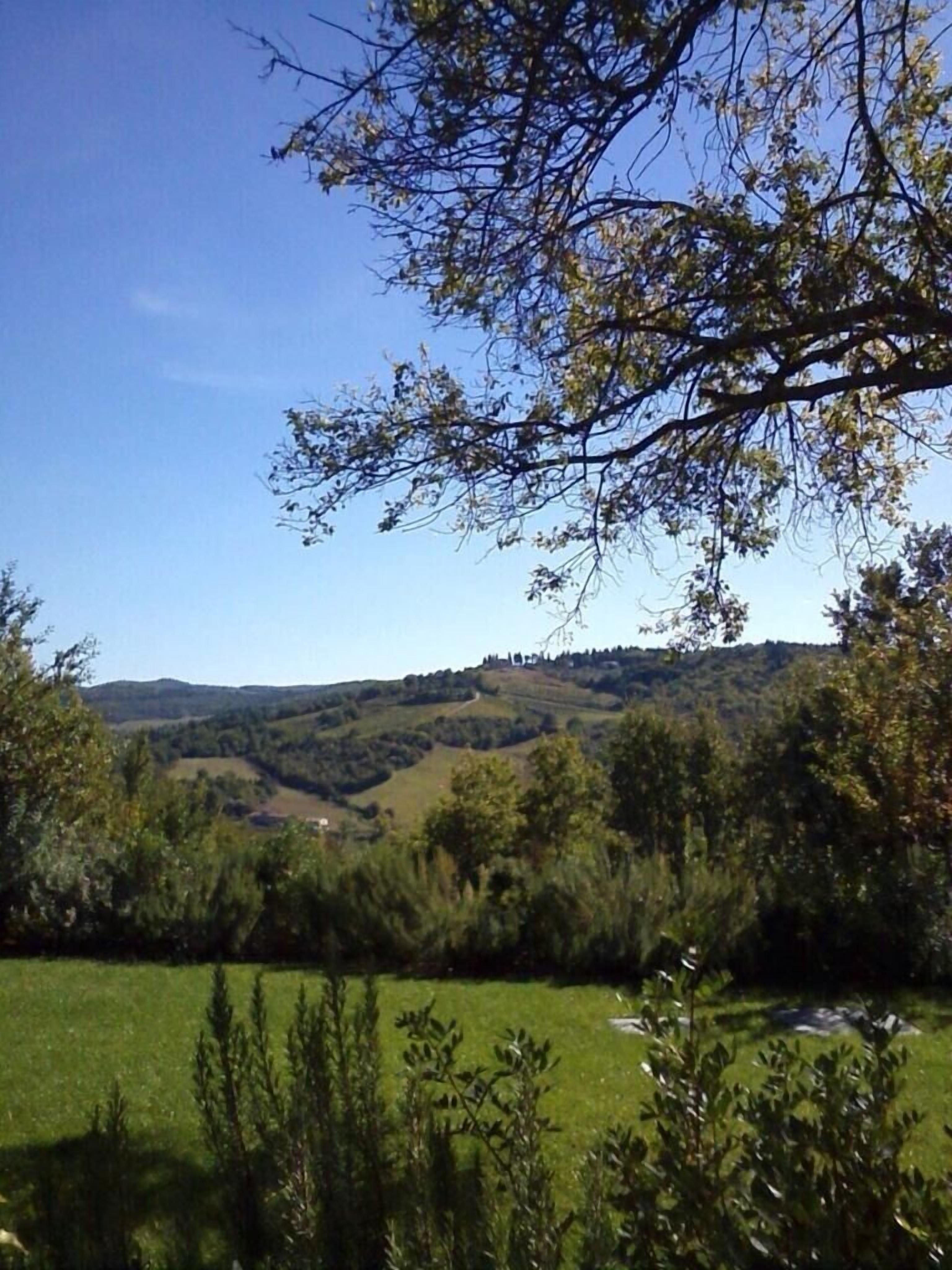 Un paisaje con colinas ondulantes, cielo despejado y un árbol en primer plano.