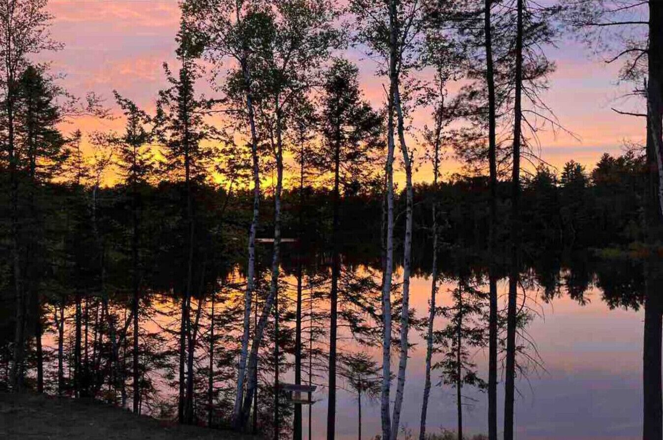 Ett skogsområde med höga träd och en stilla vattenyta som speglar himlen.