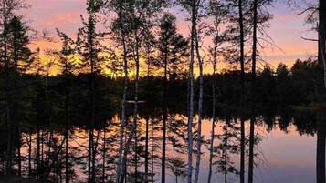 Ett skogsområde med höga träd och en stilla vattenyta som speglar himlen.