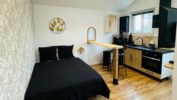 A compact room with a bed, a small kitchenette, and a dining area.