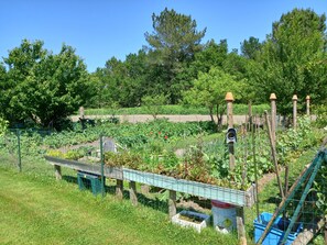 Parco della struttura