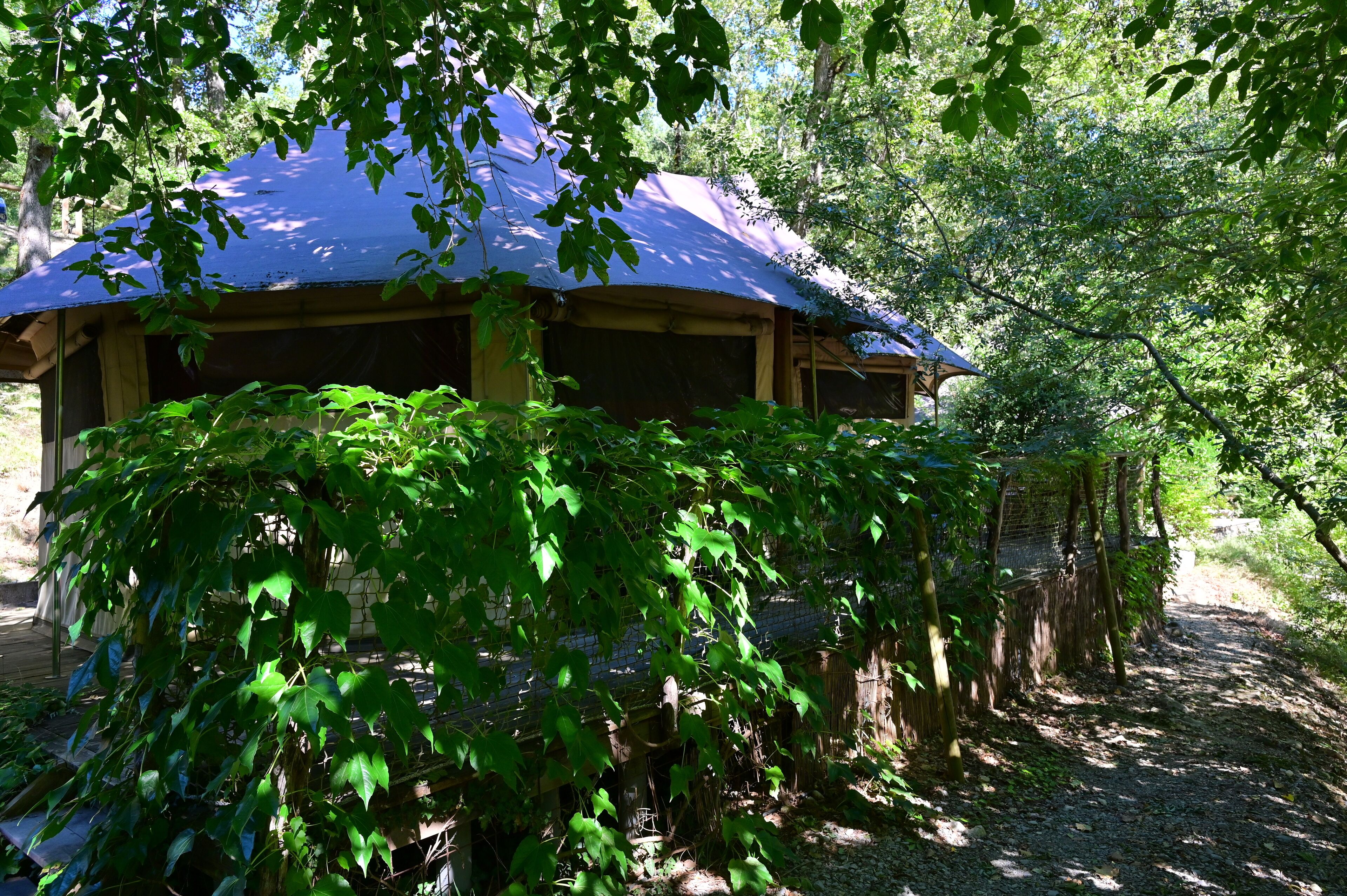 Una cabaña de madera rústica con techo azul, rodeada de vegetación exuberante y un sendero de grava.