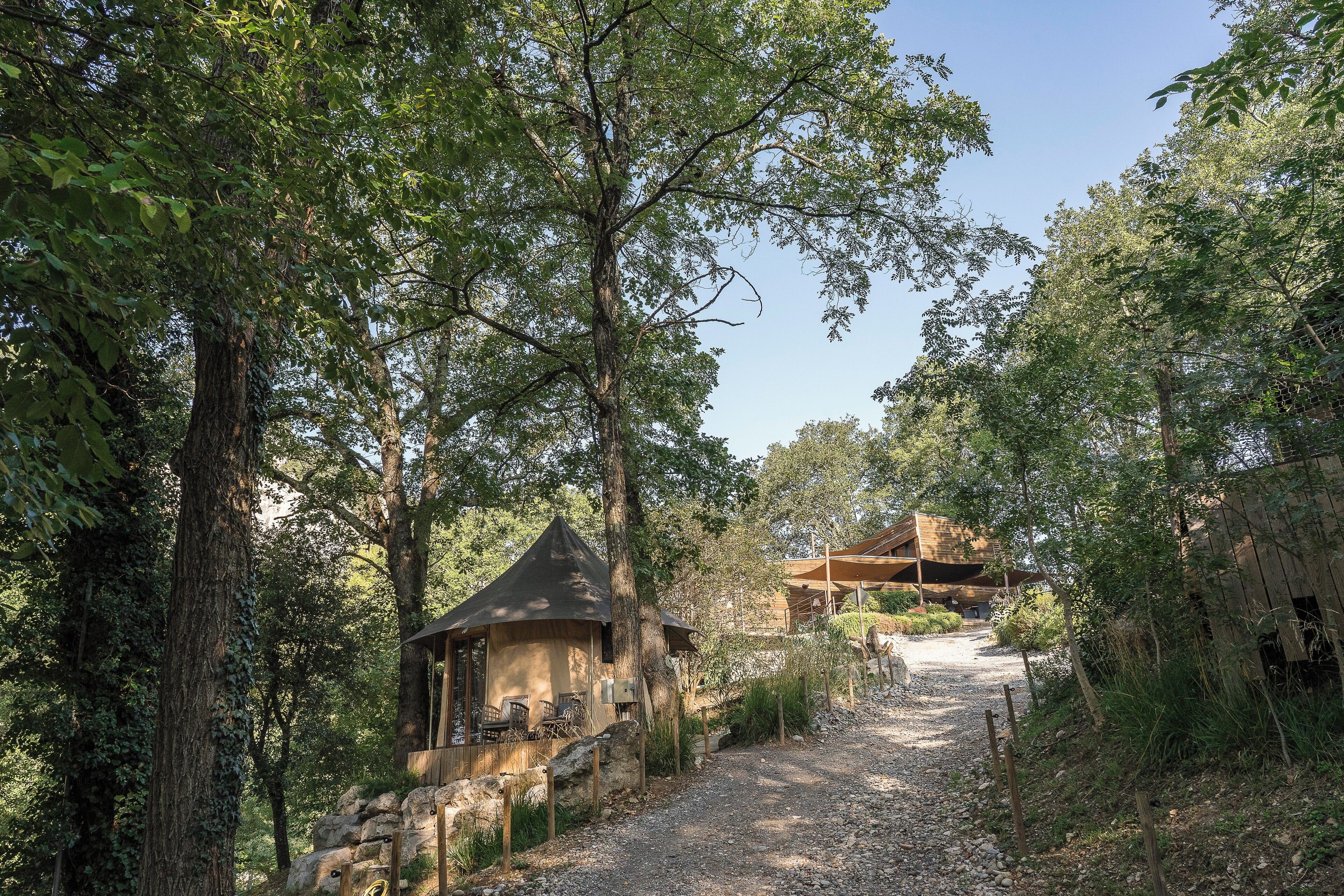 A rustic cabin with a thatched roof, surrounded by dense trees and a gravel path leading to a wooden structure.