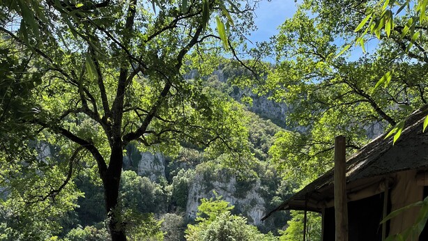 A hot tub surrounded by lush greenery and a wooden deck. - Prehistoric Lodge (Vallon-Pont-d'Arc)
