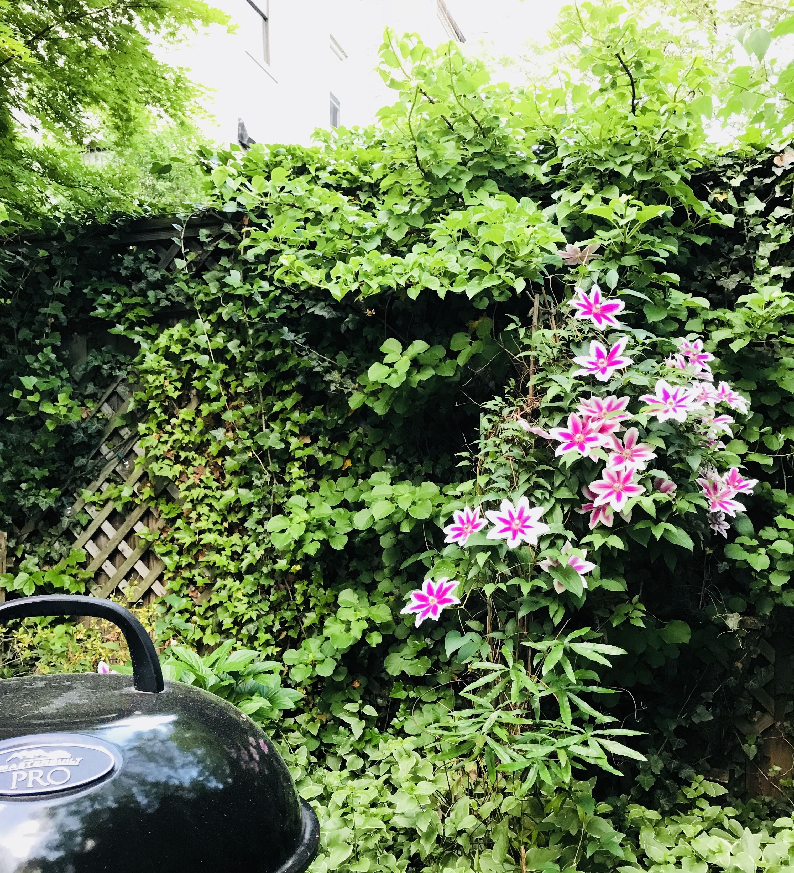 2 BEDROOMS WITH 2 PRIVATE BATHROOMS IN LOVELY HOME 