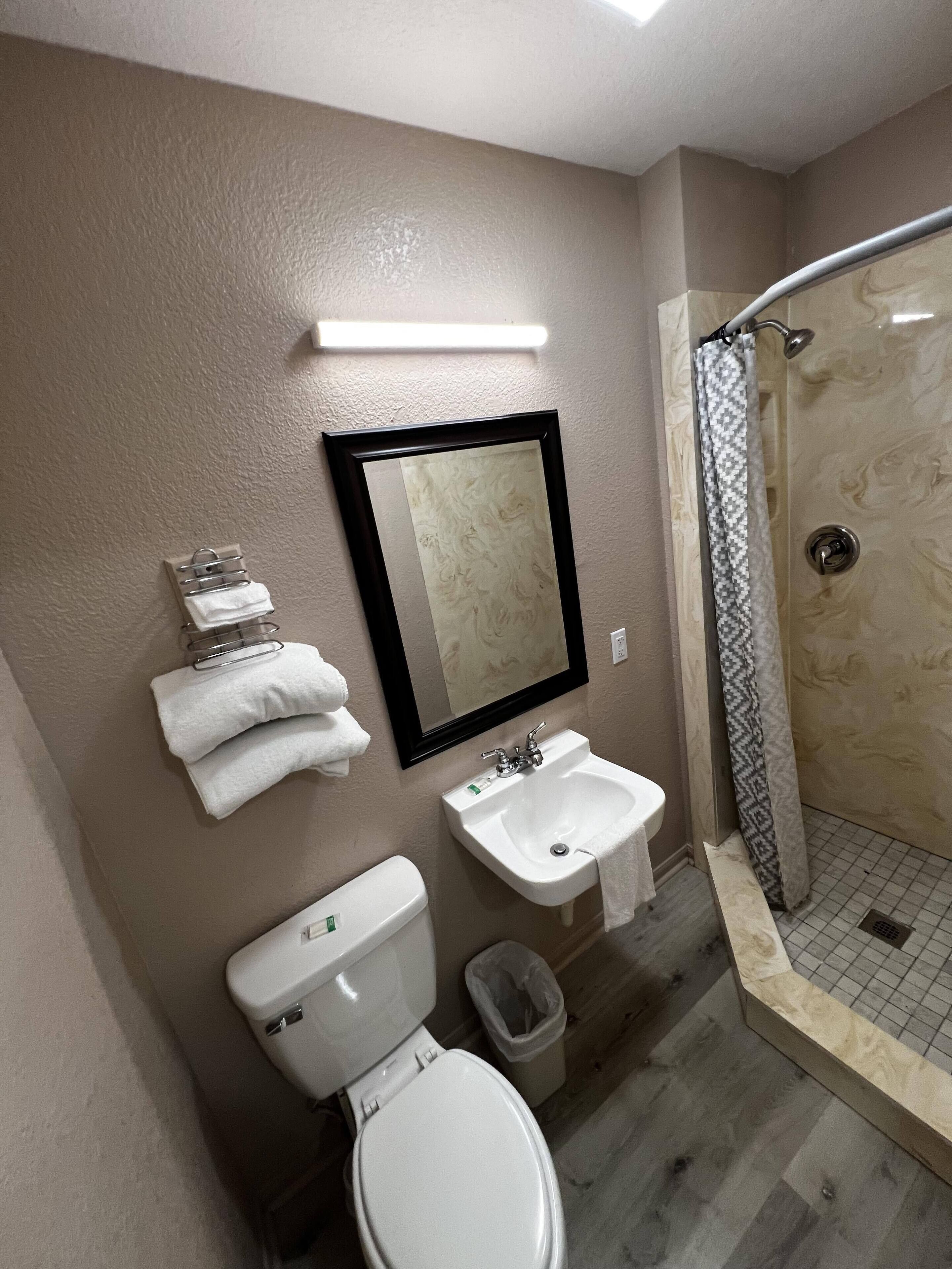 Une salle de bain avec des toilettes, un lavabo et une douche.